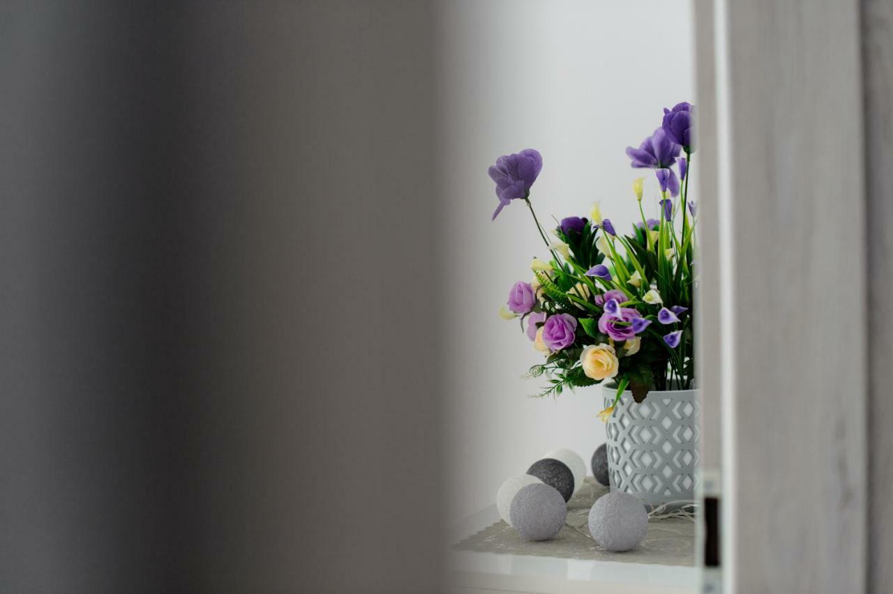 Apartament Przytulny Kielce Extérieur photo